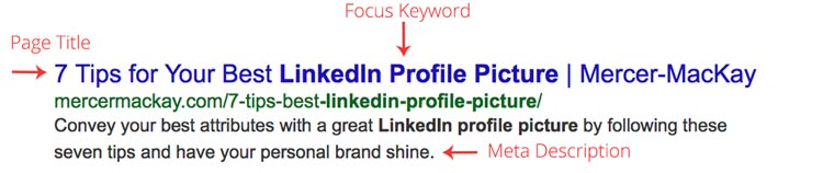 SEO Blog image copy